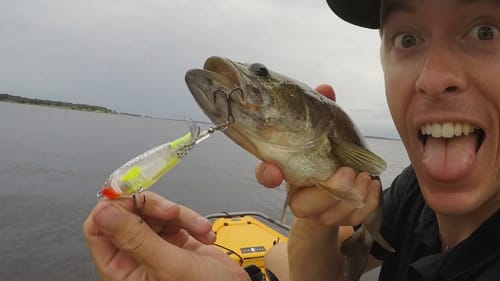 First Bass on Topwater Plopper Lure!