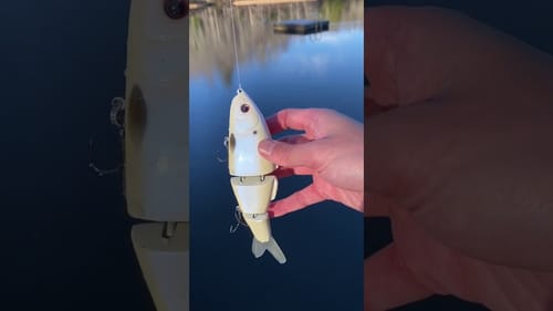 Swimbait Review: Pizz Baby Carp Swimmer