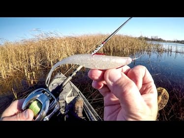 I Can't Believe I've Never Tried This!