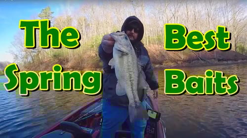 EARLY Spring Baits