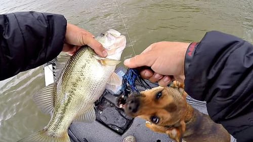 Fishing Day goes Wrong From the START!!!