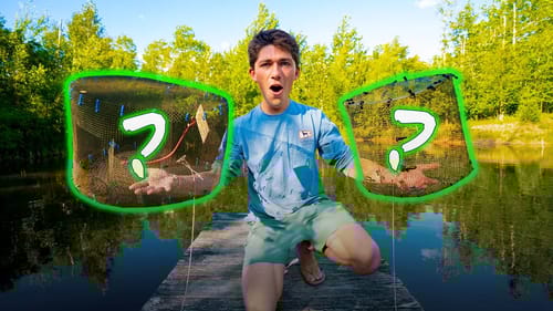 TRAPPING Fish In My BACKYARD Pond (Pond Restoration Part 5)