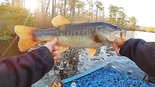 IT’S ALMOST TIME! Exploring New Lake Prespawn Bass Fishing (my favorite)