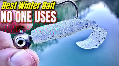 Best Winter Bait NO ONE Uses