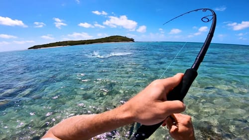 What happens when fish have never seen a lure before!