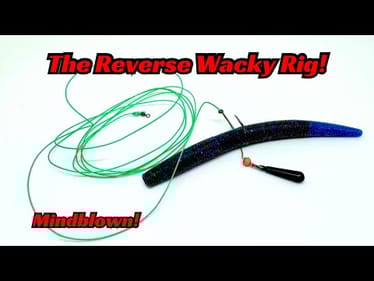 The Reverse Wacky Rig! MINDBLOWN!