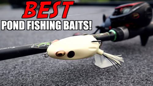 3 MUST HAVE Baits For Pond Bass Fishing!
