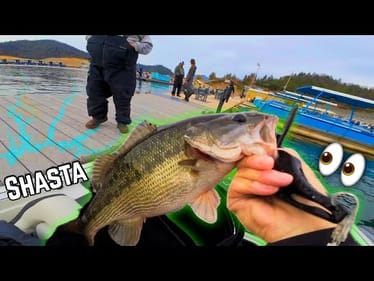 Fishing Team Tournament SOLO! (Top 10) | Figuring Out Lake Shasta
