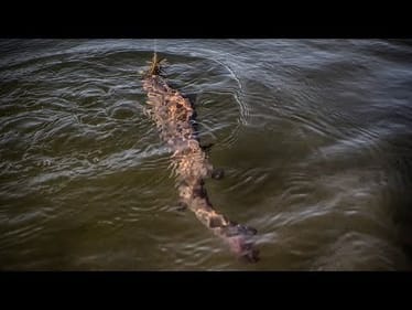 Why You Should Find One Bass Fishing Jig and Stick with It