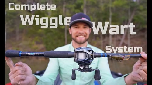 Complete System | Wiggle Wart