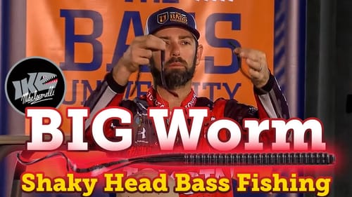 Ike's BIG BAIT Shaky Head Bass Fishing Tips
