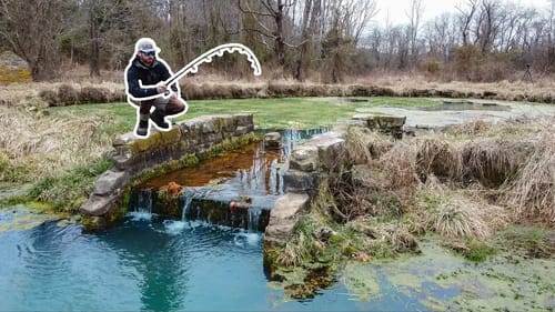 Fishing for a TROPHY Fish in a TINY CREEK!!! (New PB!)