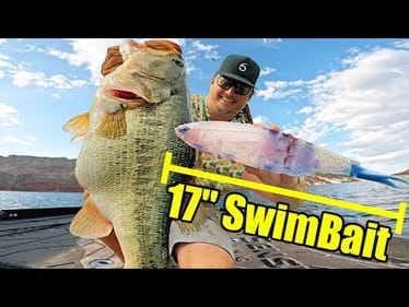 Fishing ONLY Giant Baits all day w/ SURPRISING Results!