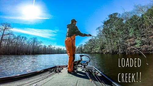 CATCHING Bass EVERY CAST After FINDING a LOADED Creek BEND!! || Winter Bass Fishing