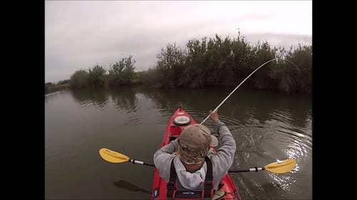 Bass Fishing Mendota