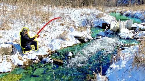 Fishing a TINY Creek that's LOADED w/ Fish!!! (Every Cast)