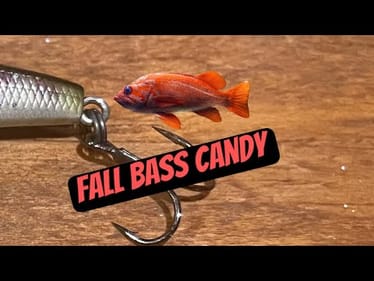 This 1/4oz. Lure Is A Secret Fall Killer