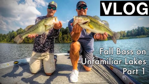 Bass Fishing on Small Lakes [VLOG 9]