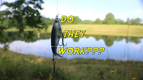 WHOPPER PLOPPER BASS FISHING