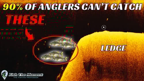 No One On Your Lake Can Catch These Bass - Learn How You Can!