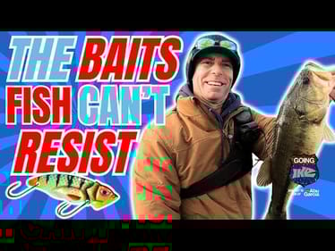 INSANE Winter Fishing Tactics - Tiny Lure Crushes Cold Water BASS!