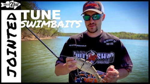 How to Tune a Jointed Swimbait in Less Than 2 Minutes