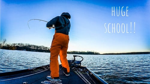 LOADED POINT Found on POWERPLANT LAKE!!! || Winter Bass Fishing
