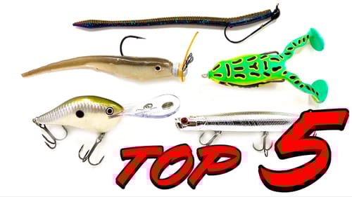 Top 5 Baits For June Bass Fishing!
