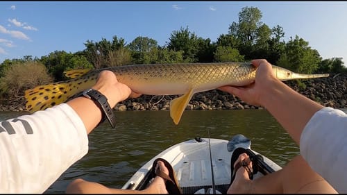 Big Fish on the Brazos River! (Fishing the Low Water Dam)