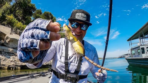 WELCOME TO GUAD FEST 2020! THEY WERE STACKED UP! MULTI-SPECIES SUMMER BASS FISHING!