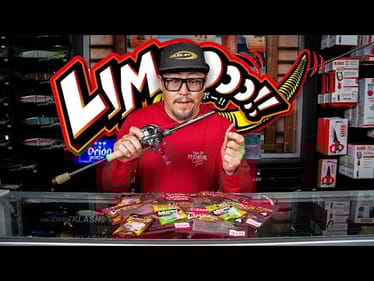 This NEW Japanese Worm Will Dominate When Nothing Else Will!! Breaking Down The Zappu LIMBooo Worm!!