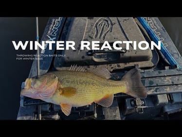 FISHING REACTION BAITS FOR WINTER LARGEMOUTH BASS-MATHER LAKE