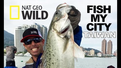 Fish My City TAIWAN Preview