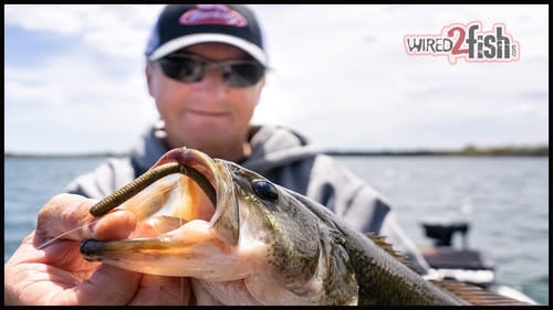 4 Tips for Drop Shotting Boat Docks with Gary Klein