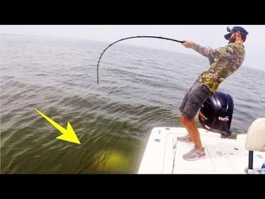 We THOUGHT IT was a FISH!! (Dangerous)