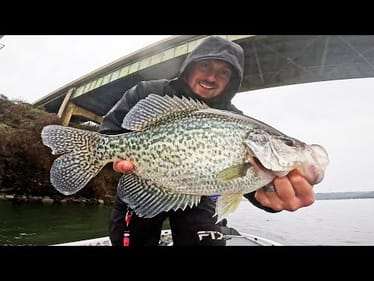 Catching BIG SLABS In The RAIN (LIVESCOPE)! Catch MORE Crappie Fishing Bridges in the Winter!