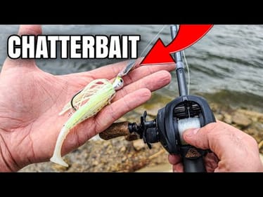 SIMPLE Chatterbait Technique Catches Spring Bass (Bank Fishing)