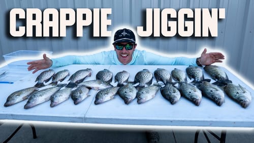 CRAPPIE ON STUMPS! Catch & Cook NEW Recipe Mix!