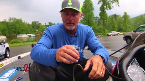 How to Rig a Weedless Wacky Worm