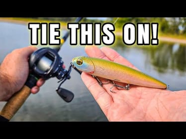 The ONLY Fall Lure I Needed! (Topwater Bass Fishing)