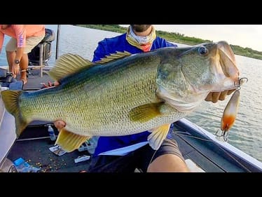 MONSTER BASS CAUGHT ON HUGE CRANKBAIT!!