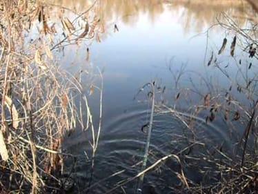 sight fishing for bass