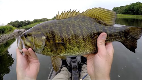 Hat Cam Fishing For Smallmouth