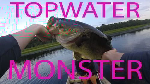 9lb 14oz Topwater Bass