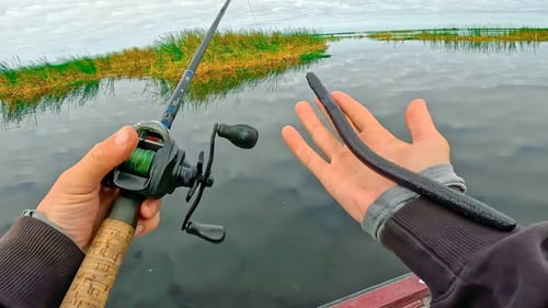 Chasing Shallow Water Fish and rare UNEXPECTED Catch In Florida