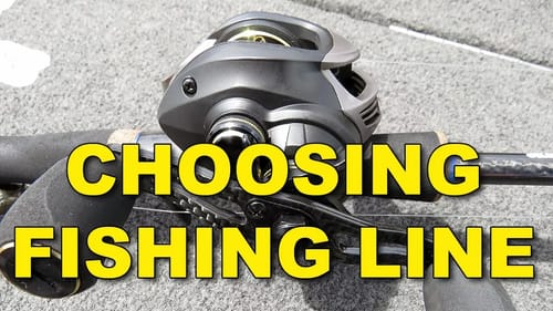 Choosing The Best Fishing Line (the Definitive guide) | Bass Fishing