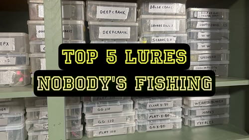 The Best  November Lures That NOBODY Fished With…