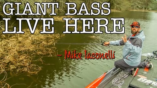 FISH Where the BIG BASS Live