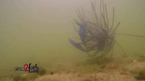 NEW Chief Craw Jig Trailer Lure Underwater