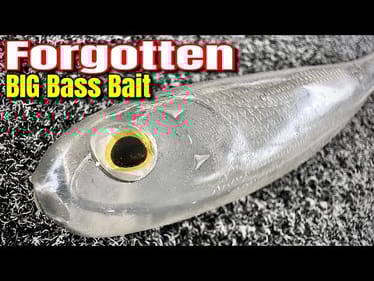 Catch BIG Fish with These OVERLOOKED Swimbaits